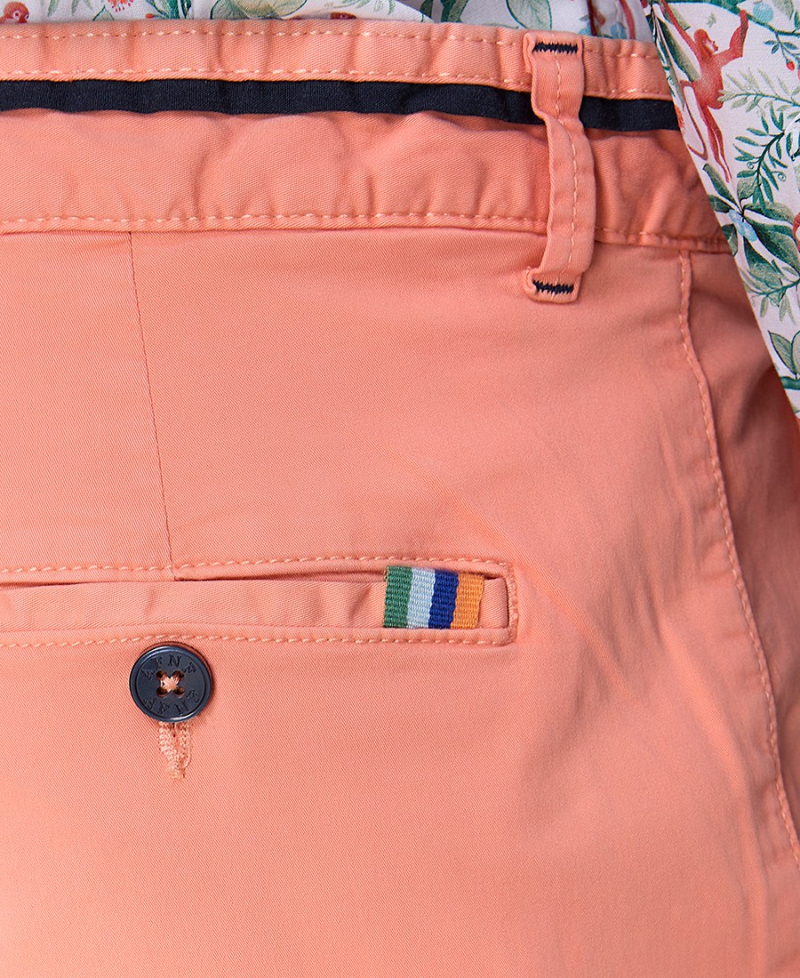 A Fish named Fred Ανδρικό Βαμβακερό Παντελόνι Chino Garment Dye Slim Fit φωτογραφία