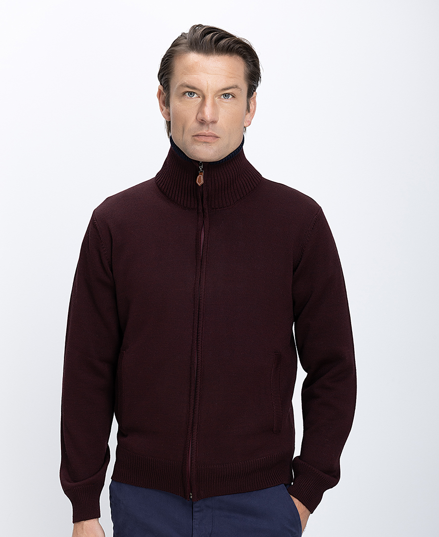 Ανδρική Πλεκτή Ζακέτα Με Φερμουάρ Regular Fit φωτογραφία