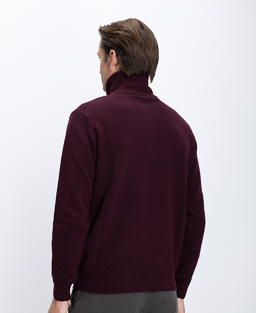 Ανδρικό Πλεκτό Regular Fit Με Μισό Φερμουάρ Και Ψηλό Γιακά φωτογραφία