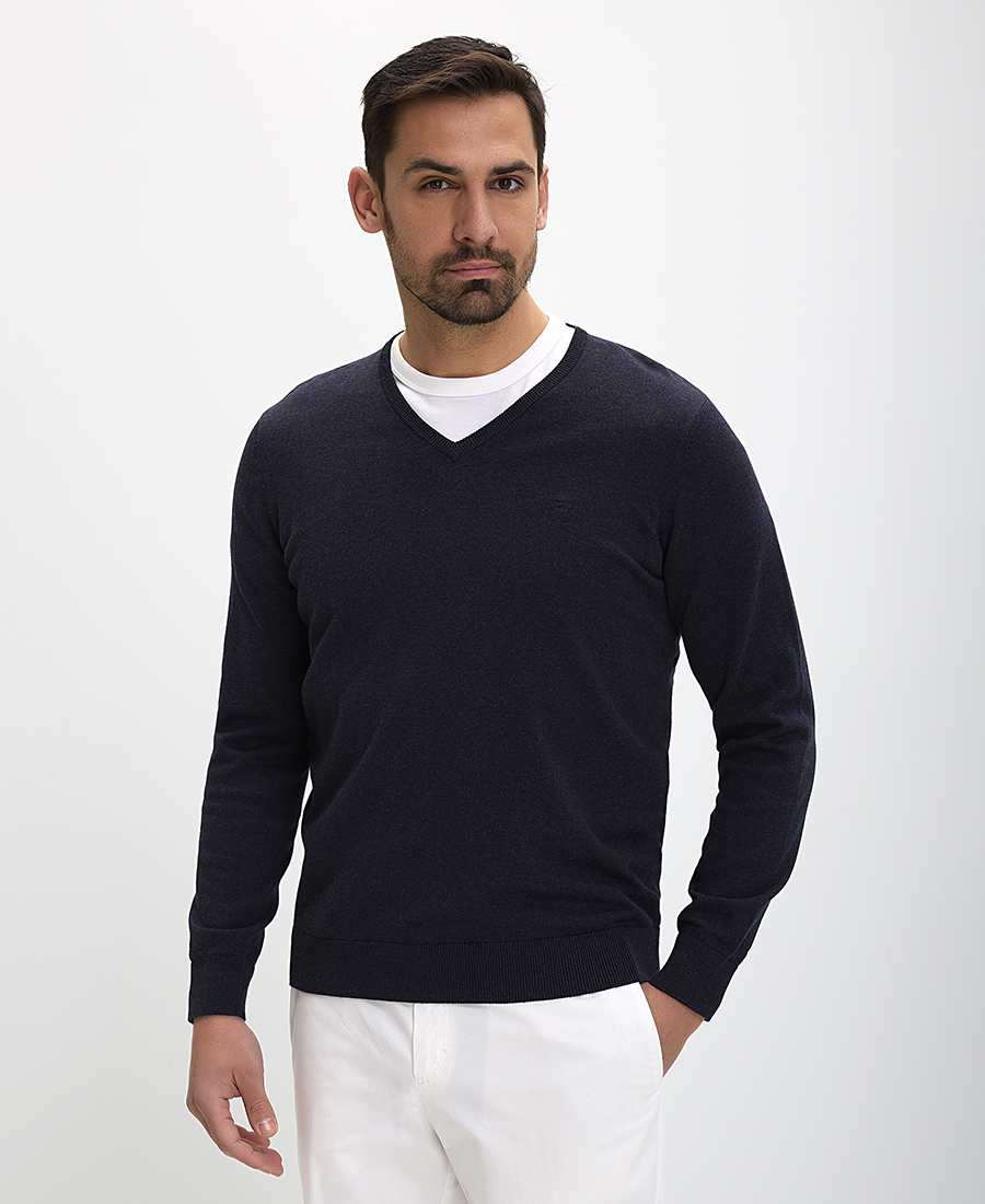 Ανδρικό Πουλόβερ Regular Fit Με V Λαιμόκοψη