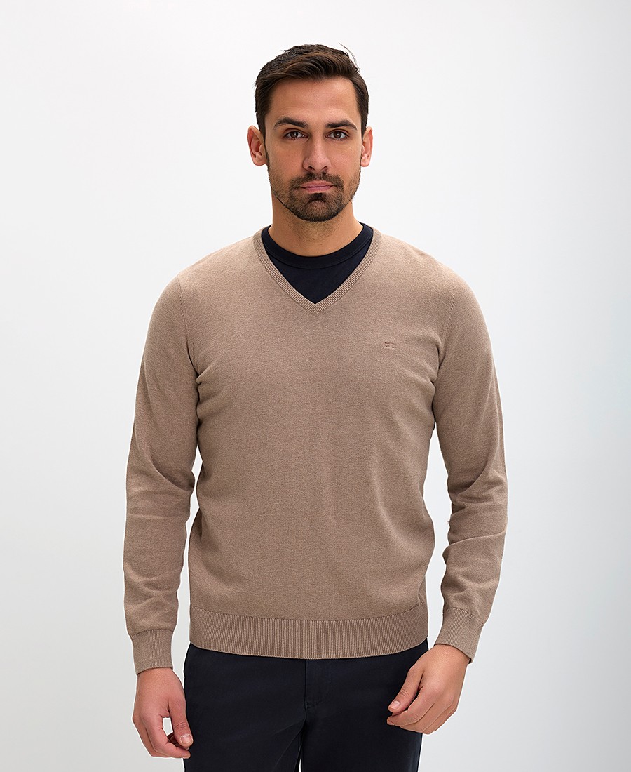 Ανδρικό Πουλόβερ Regular Fit Με V Λαιμόκοψη