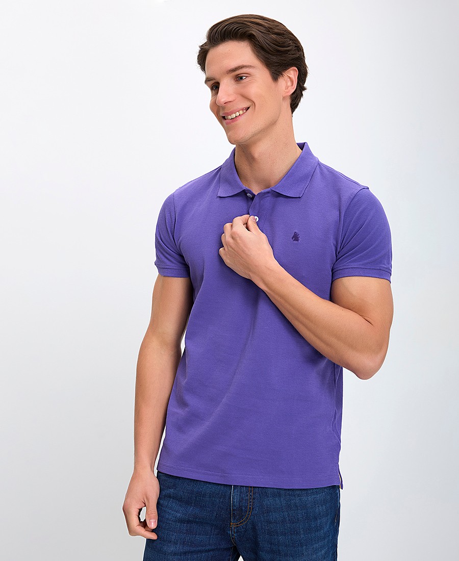 Ανδρική Μπλούζα Polo Βαμβακερή με Κεντημένο Λογότυπο Regular Fit