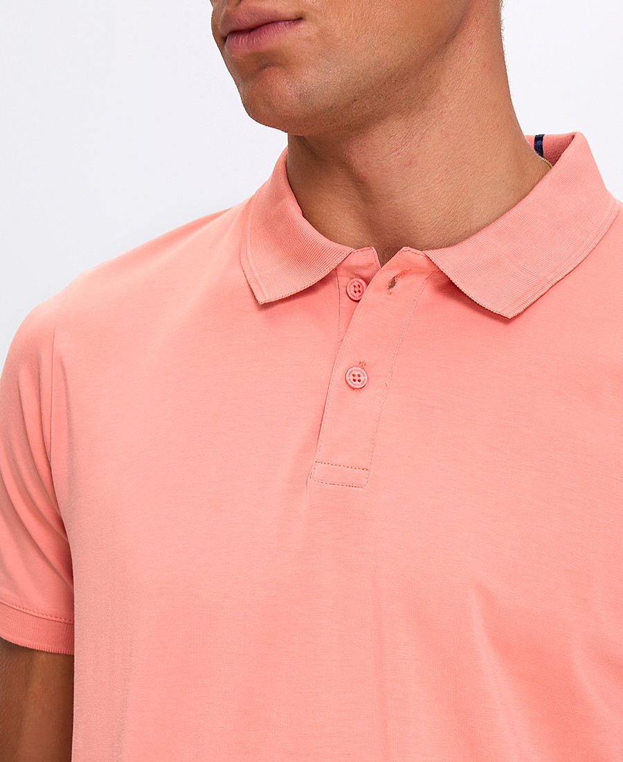 Ανδρική Μπλούζα Polo Βαμβακερή Regular Fit φωτογραφία