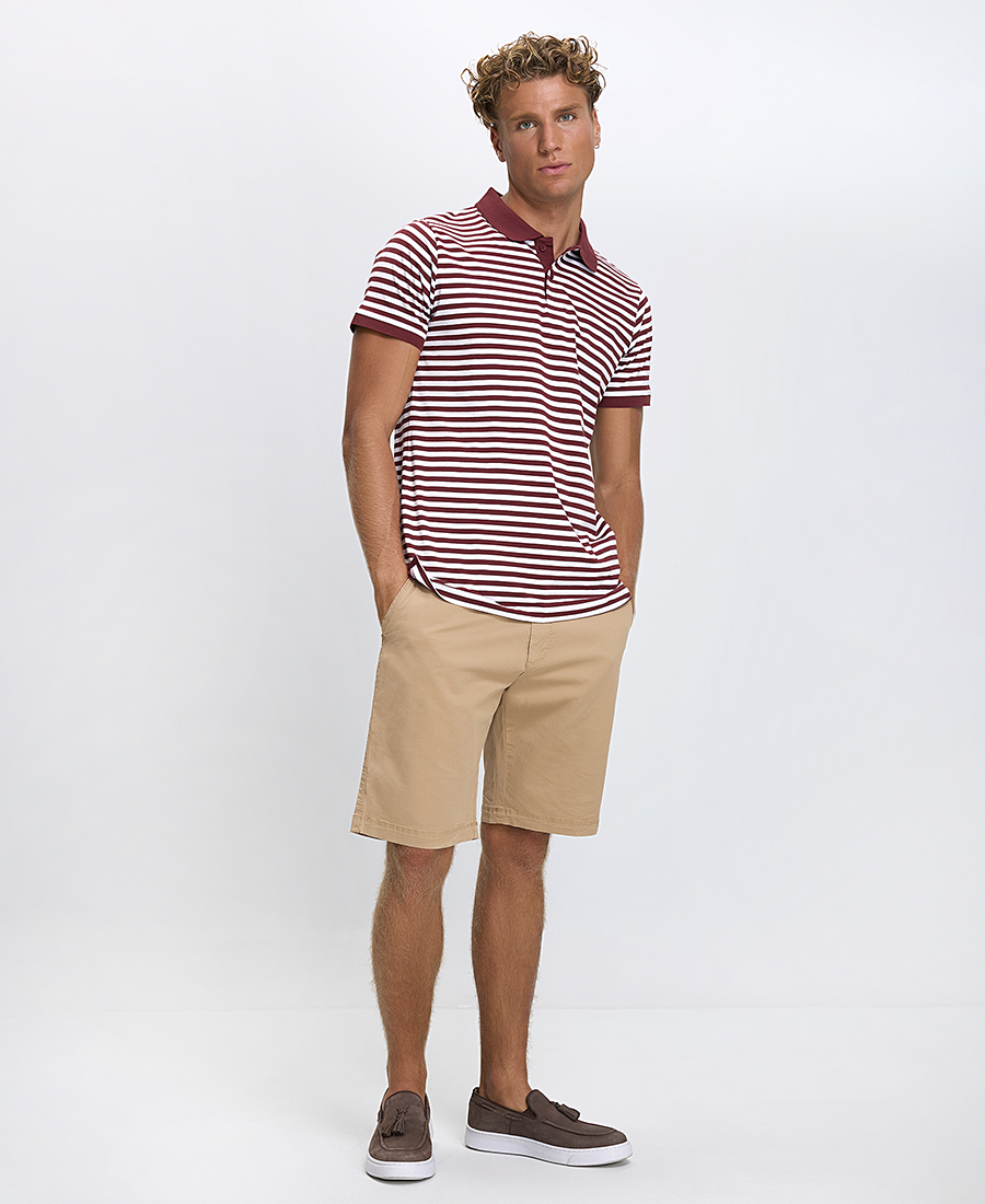 Ανδρική Polo Μπλούζα Regular Fit Ριγέ Κοντομάνικη φωτογραφία