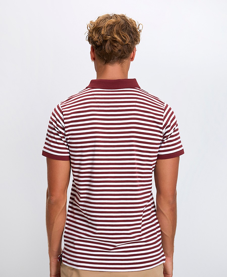 Ανδρική Polo Μπλούζα Regular Fit Ριγέ Κοντομάνικη φωτογραφία