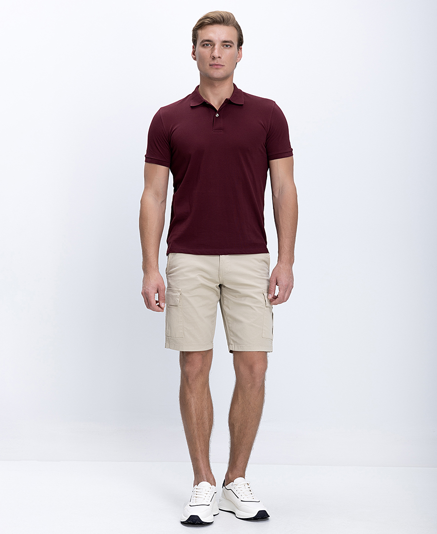 Ανδρικό Polo Βαμβακερό Regular Fit φωτογραφία