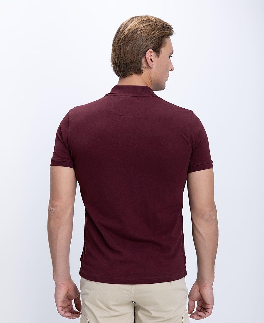 Ανδρικό Polo Βαμβακερό Regular Fit φωτογραφία