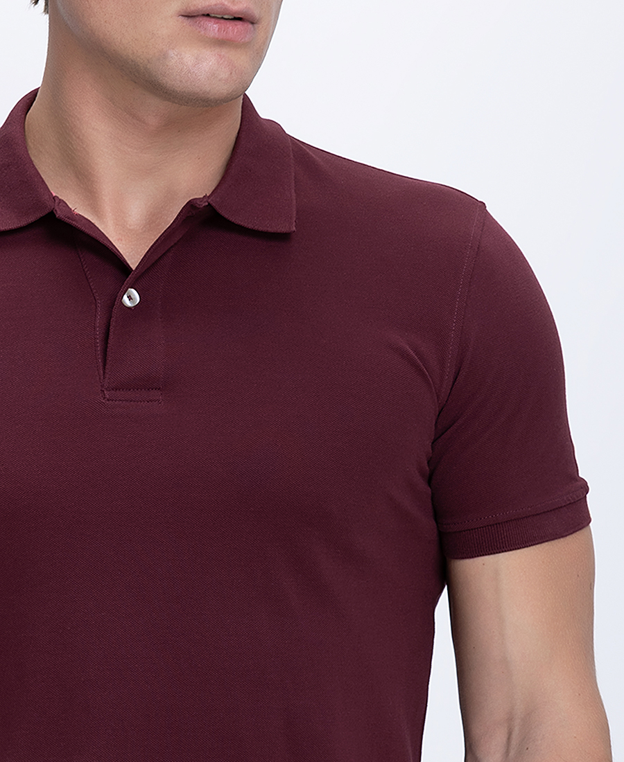 Ανδρικό Polo Βαμβακερό Regular Fit φωτογραφία