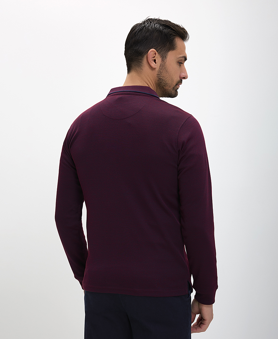 Ανδρικό Polo Μακρυμάνικο Regular Fit με Γιακά και Πατιλέτα φωτογραφία