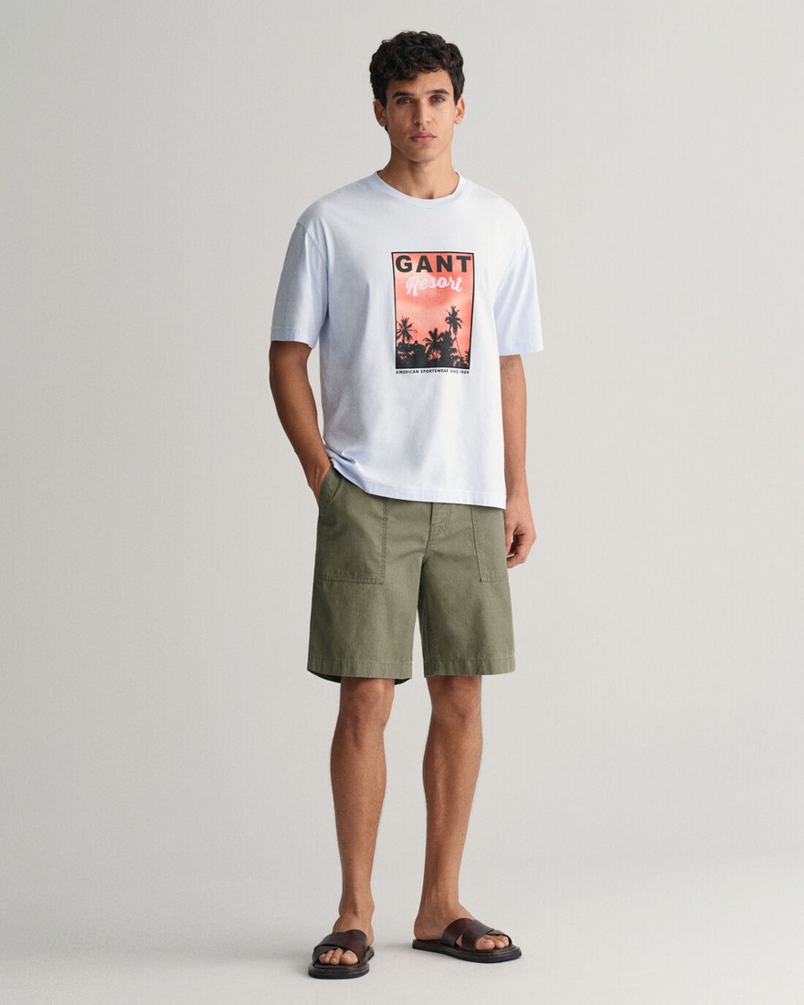 Gant T-Shirt Washed Graphic σε Λευκό φωτογραφία