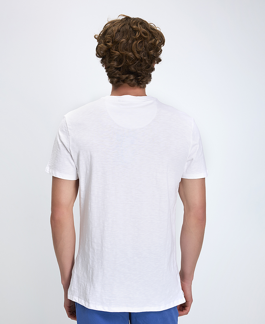 A Fish named Fred Ανδρικό T-Shirt από Οργανικό Βαμβάκι Regular Fit φωτογραφία