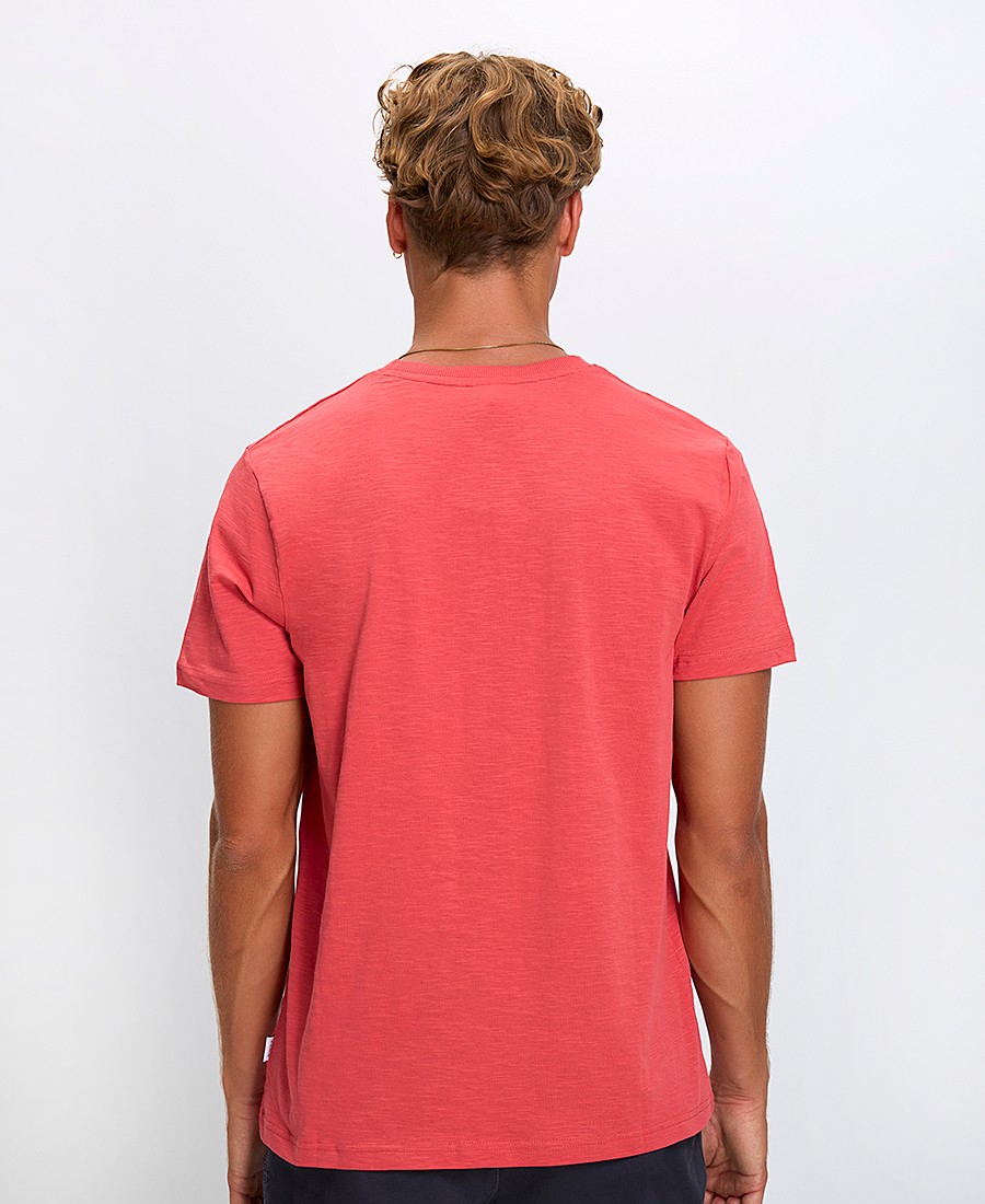 Ανδρικό T-Shirt Βαμβακερό Regular Fit με Στάμπα φωτογραφία