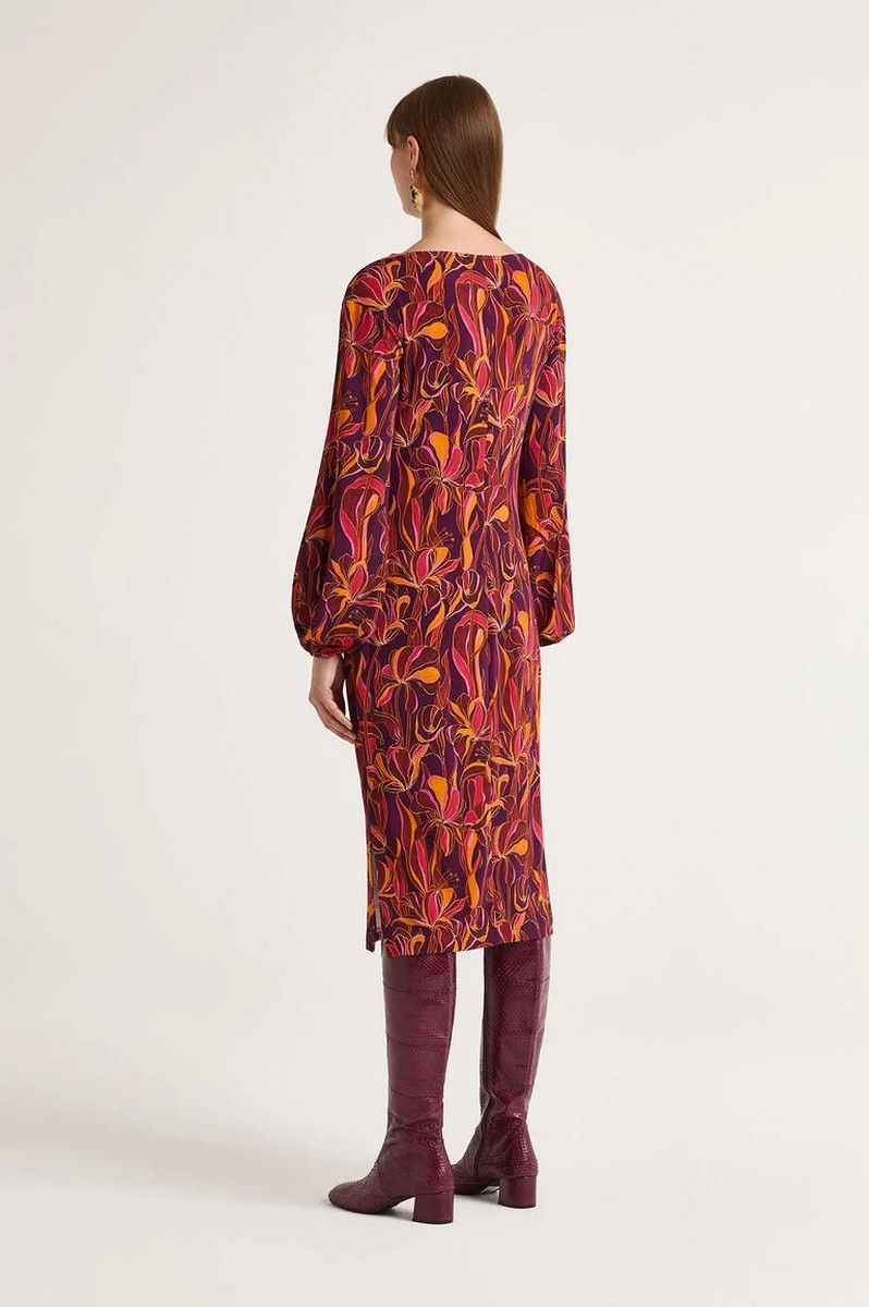 Maliparmi Γυναικείο Φόρεμα Longuette Lily’s Ballet Regular Fit φωτογραφία