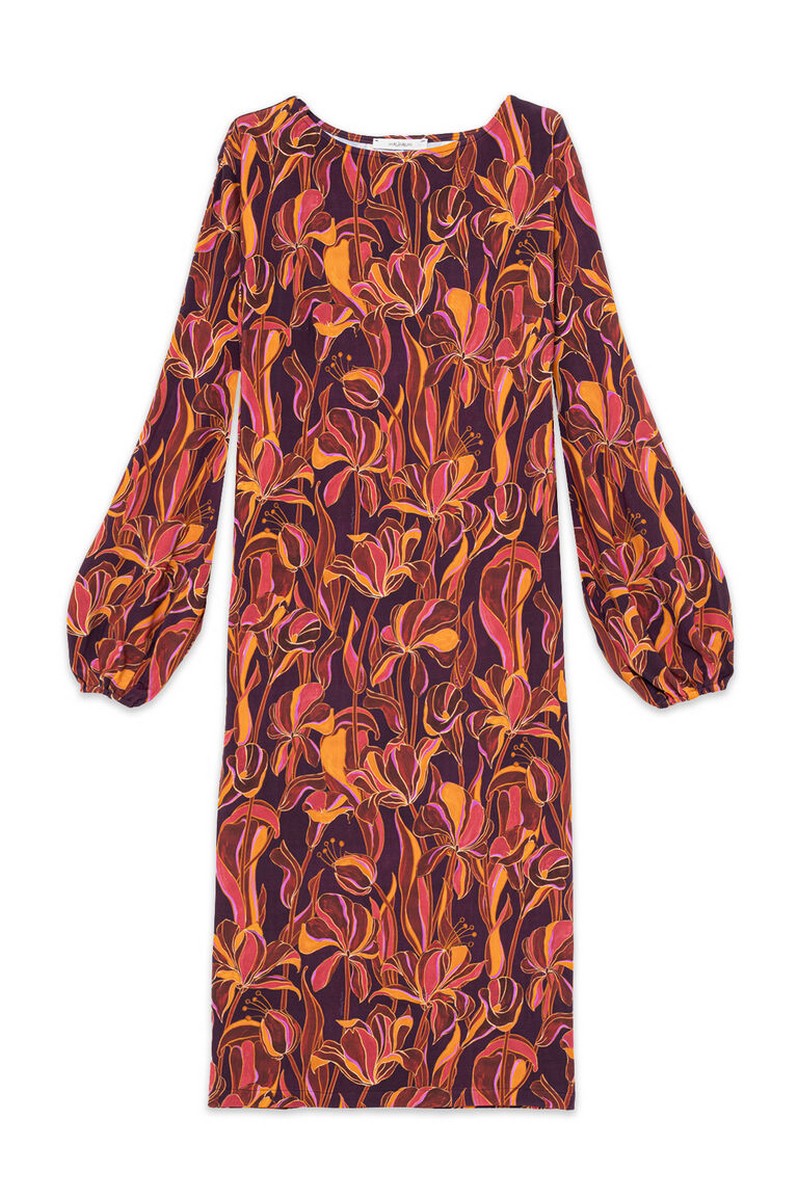 Maliparmi Γυναικείο Φόρεμα Longuette Lily’s Ballet Regular Fit φωτογραφία