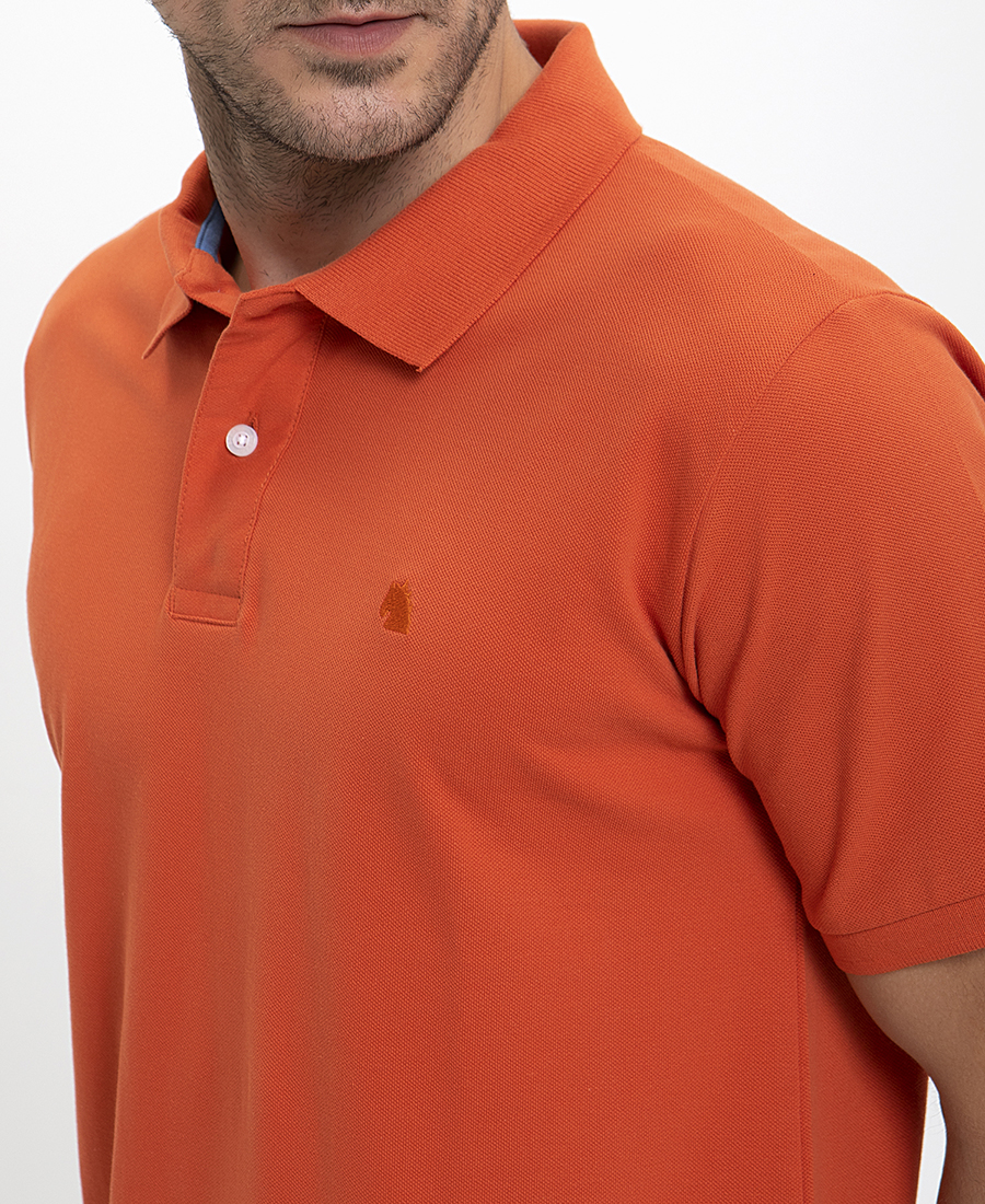 Single color Polo Shirt Modern Fit φωτογραφία