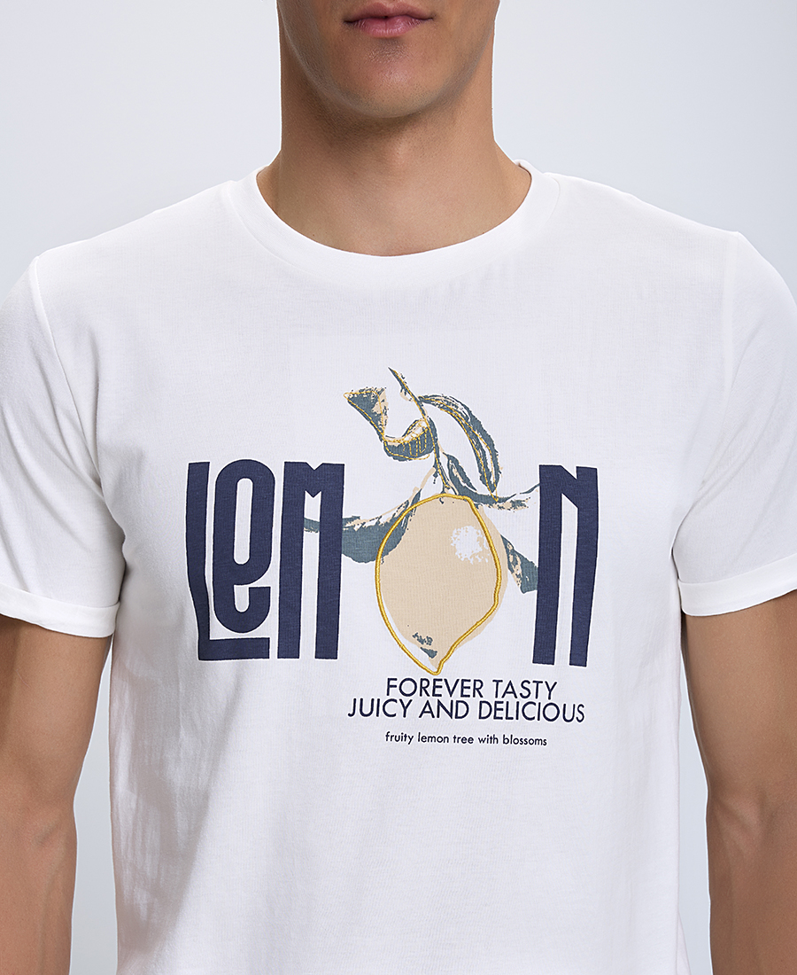 Τ-Shirt με Στάμπα Modern Fit φωτογραφία